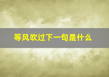 等风吹过下一句是什么