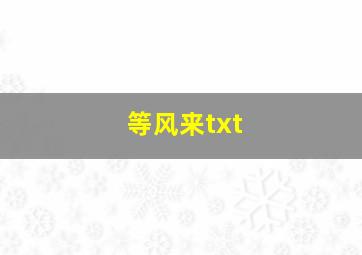 等风来txt