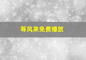 等风来免费播放