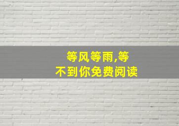 等风等雨,等不到你免费阅读