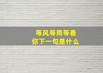 等风等雨等着你下一句是什么