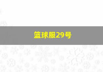 篮球服29号