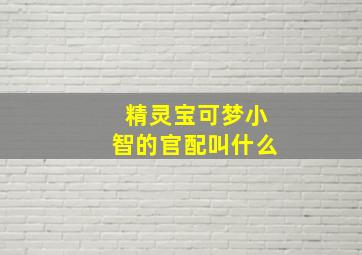 精灵宝可梦小智的官配叫什么