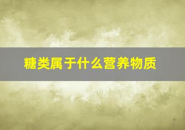 糖类属于什么营养物质