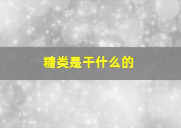 糖类是干什么的