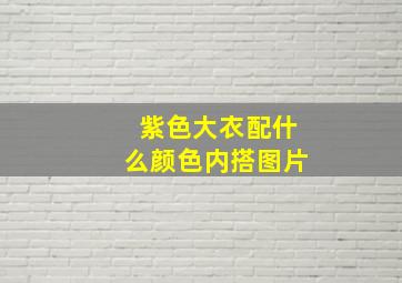 紫色大衣配什么颜色内搭图片