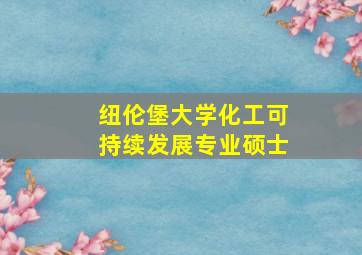 纽伦堡大学化工可持续发展专业硕士