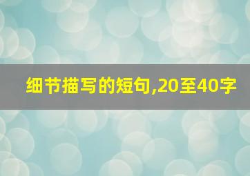 细节描写的短句,20至40字