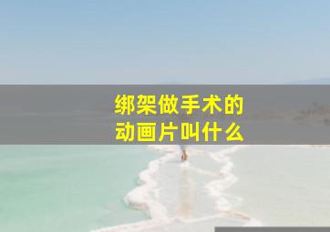 绑架做手术的动画片叫什么