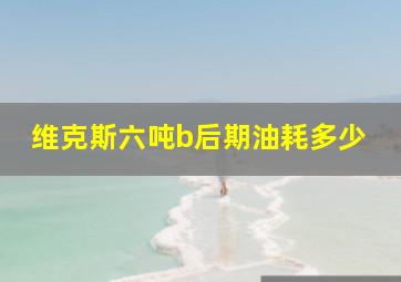 维克斯六吨b后期油耗多少