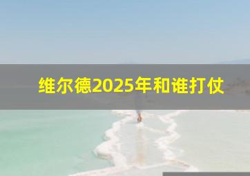 维尔德2025年和谁打仗