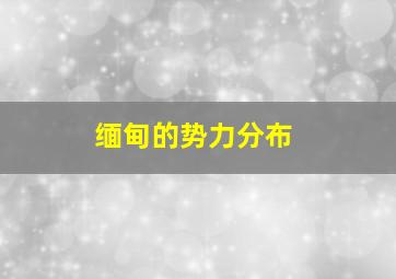 缅甸的势力分布