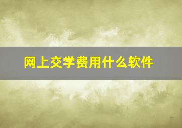 网上交学费用什么软件