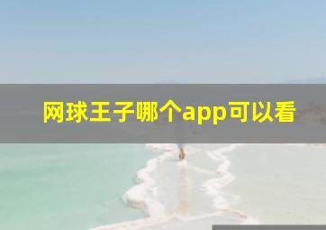 网球王子哪个app可以看