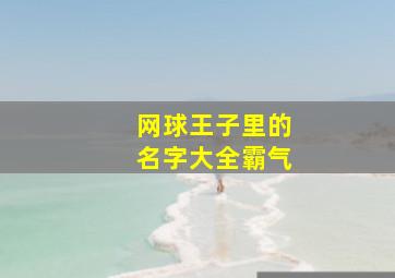 网球王子里的名字大全霸气