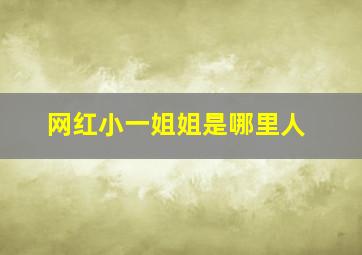 网红小一姐姐是哪里人