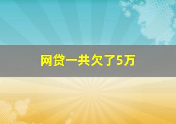 网贷一共欠了5万