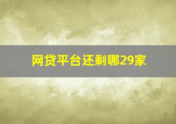 网贷平台还剩哪29家