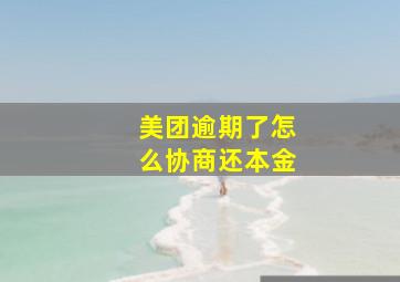 美团逾期了怎么协商还本金