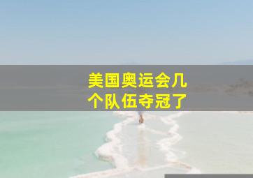 美国奥运会几个队伍夺冠了