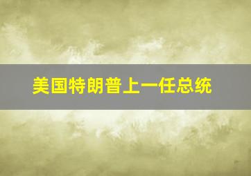 美国特朗普上一任总统