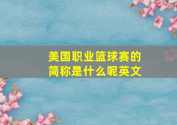 美国职业篮球赛的简称是什么呢英文