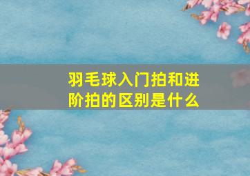 羽毛球入门拍和进阶拍的区别是什么