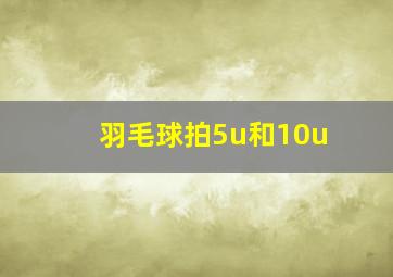 羽毛球拍5u和10u