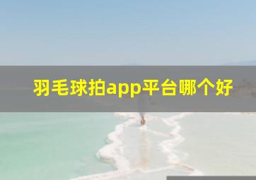 羽毛球拍app平台哪个好