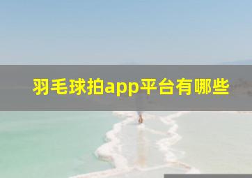 羽毛球拍app平台有哪些