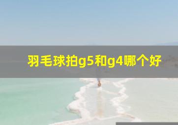 羽毛球拍g5和g4哪个好