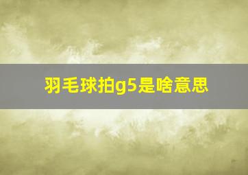 羽毛球拍g5是啥意思