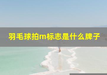 羽毛球拍m标志是什么牌子