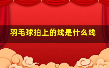 羽毛球拍上的线是什么线