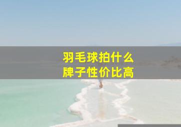 羽毛球拍什么牌子性价比高