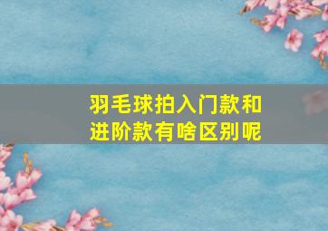 羽毛球拍入门款和进阶款有啥区别呢