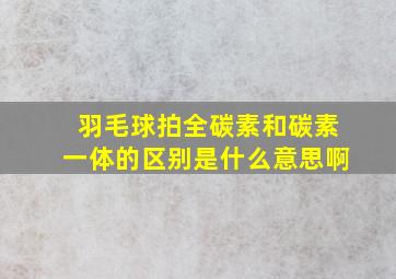 羽毛球拍全碳素和碳素一体的区别是什么意思啊