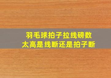 羽毛球拍子拉线磅数太高是线断还是拍子断