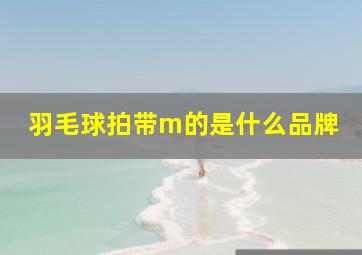 羽毛球拍带m的是什么品牌