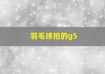 羽毛球拍的g5