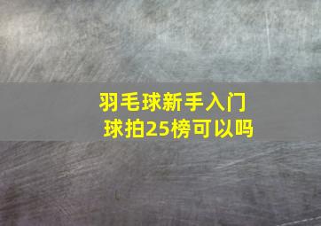 羽毛球新手入门球拍25榜可以吗