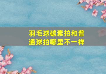 羽毛球碳素拍和普通球拍哪里不一样