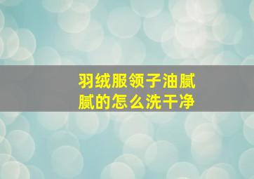 羽绒服领子油腻腻的怎么洗干净