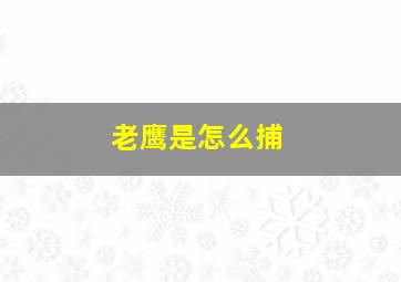 老鹰是怎么捕