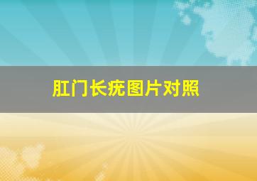 肛门长疣图片对照