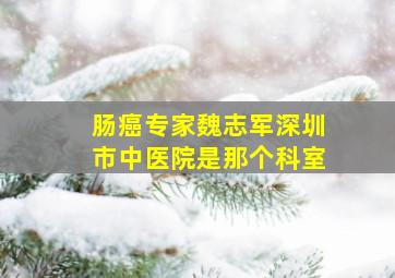 肠癌专家魏志军深圳市中医院是那个科室