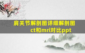 肩关节解剖图详细解剖图ct和mri对比ppt