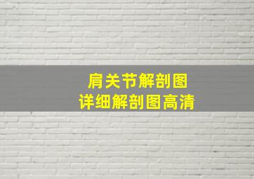 肩关节解剖图详细解剖图高清