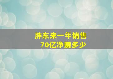 胖东来一年销售70亿净赚多少