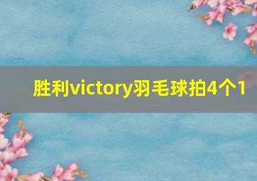 胜利victory羽毛球拍4个1